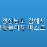 경상남도 김해시 반려동물미용  베스트 5곳