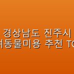 경상남도 진주시 반려동물미용  추천 TOP5