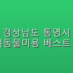 경상남도 통영시 반려동물미용  베스트 5곳