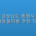 경상남도 통영시 반려동물미용  추천 TOP5