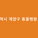 인천광역시 계양구 동물병원 가이드