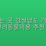 경상남도 거창군 반려동물미용 추천 5