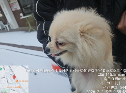 포메라니안