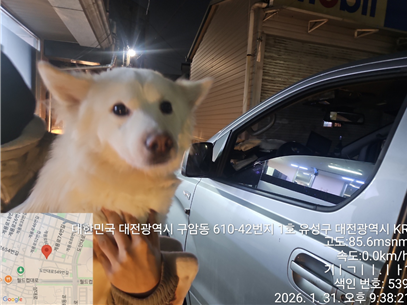 믹스견