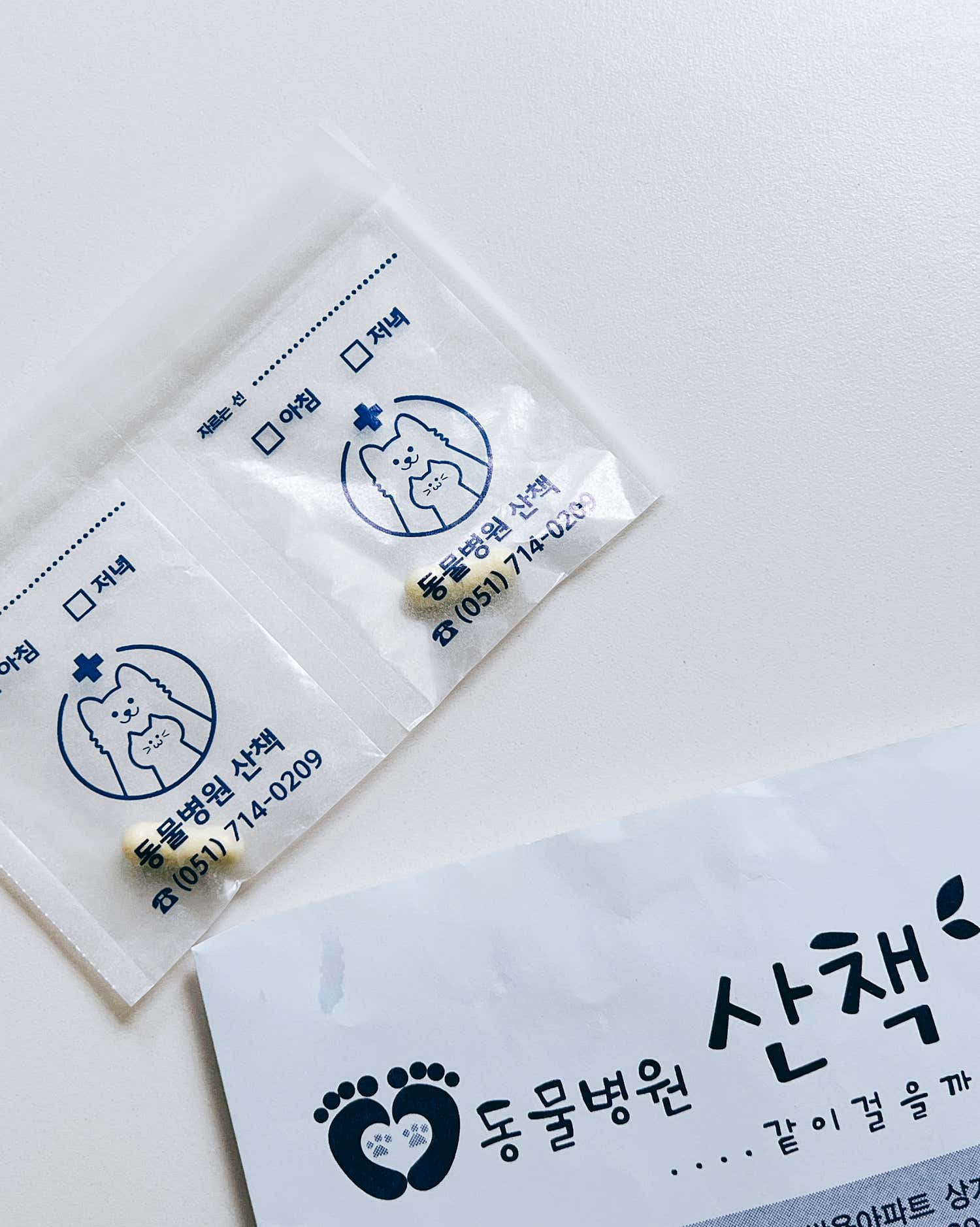 동물병원 산책