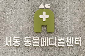 서동 동물메디컬센터