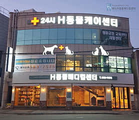 에이치동물메디컬센터