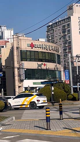 에이치동물메디컬센터