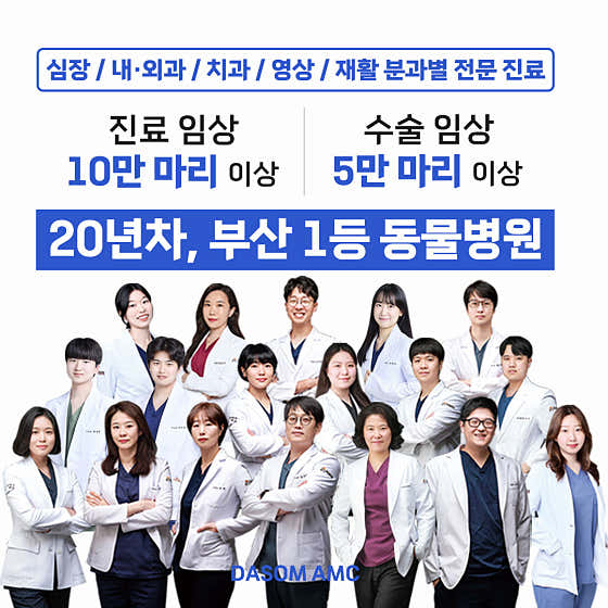 다솜동물메디컬센터