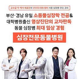 다솜동물메디컬센터