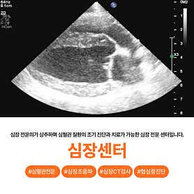 부산 24시 UN동물의료센터