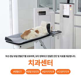 부산 24시 UN동물의료센터
