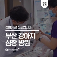 부산 24시 UN동물의료센터