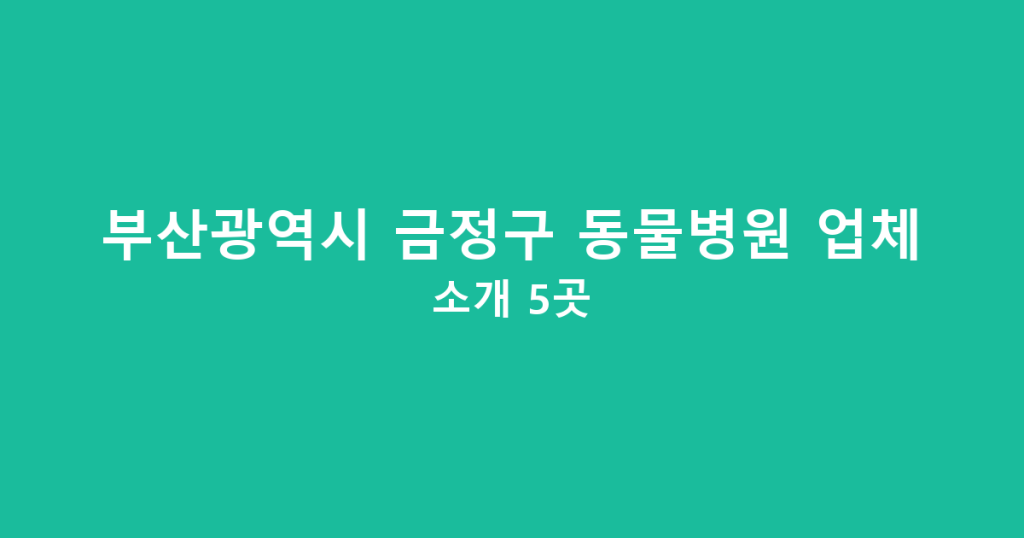 부산광역시 금정구 동물병원 업체 소개 5곳