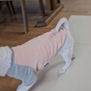 현대동물병원
