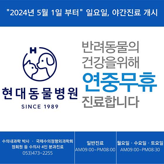 현대동물병원