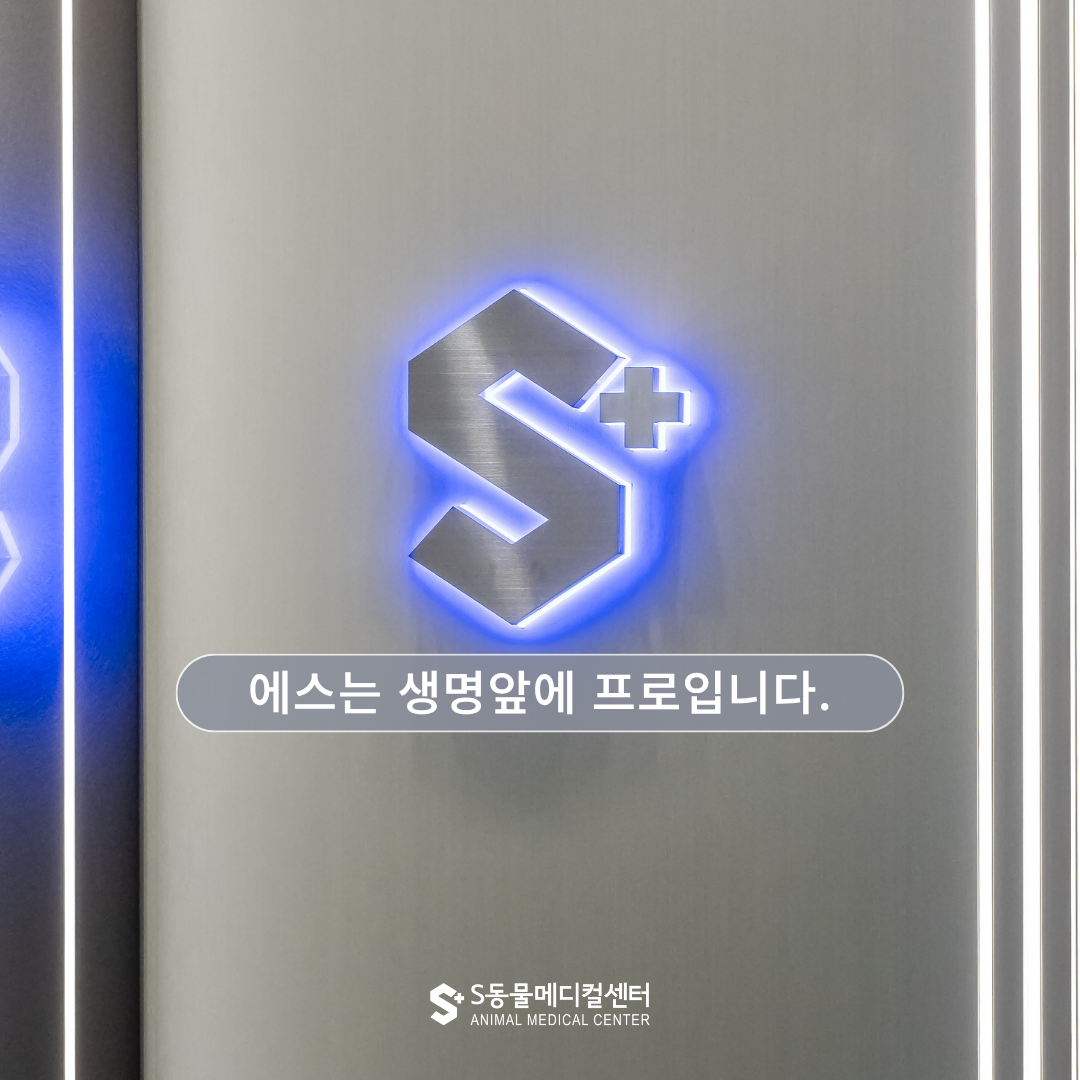 양산에스동물메디컬센터