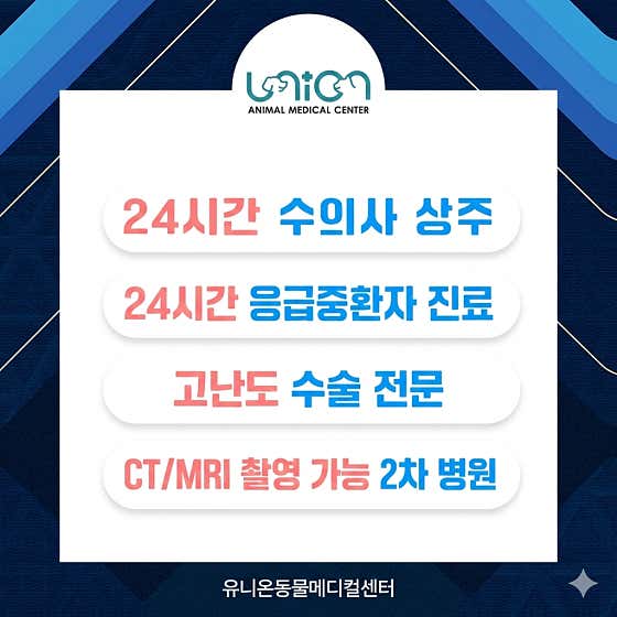 유니온동물메디컬센터