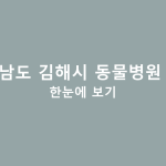 경상남도 김해시 동물병원 정보 한눈에 보기