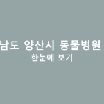 경상남도 양산시 동물병원 정보 한눈에 보기