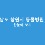 경상남도 창원시 동물병원 정보 한눈에 보기