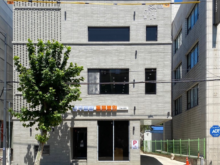경상남도 진주시 동물병원 진주돌담동물병원 정보 정리