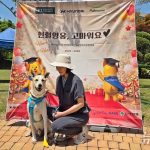 “겁 많은 도담이도 해냈다”…도담레이블, 반려견 헌혈 문화 응원