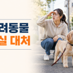 반려동물 잃어버렸을 때 가장 먼저 해야 할 일