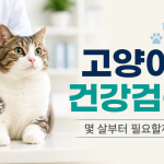 고양이 건강검진은 몇 살부터 필요할까?
